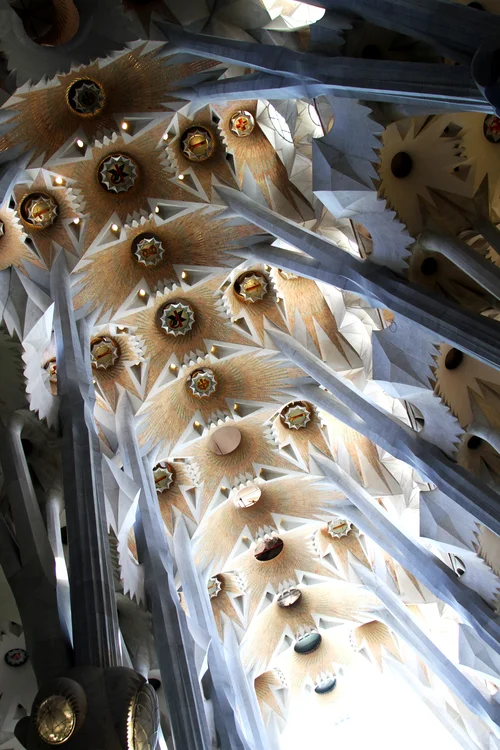 A portion of the ceiling overhead in the main part of the cathedral