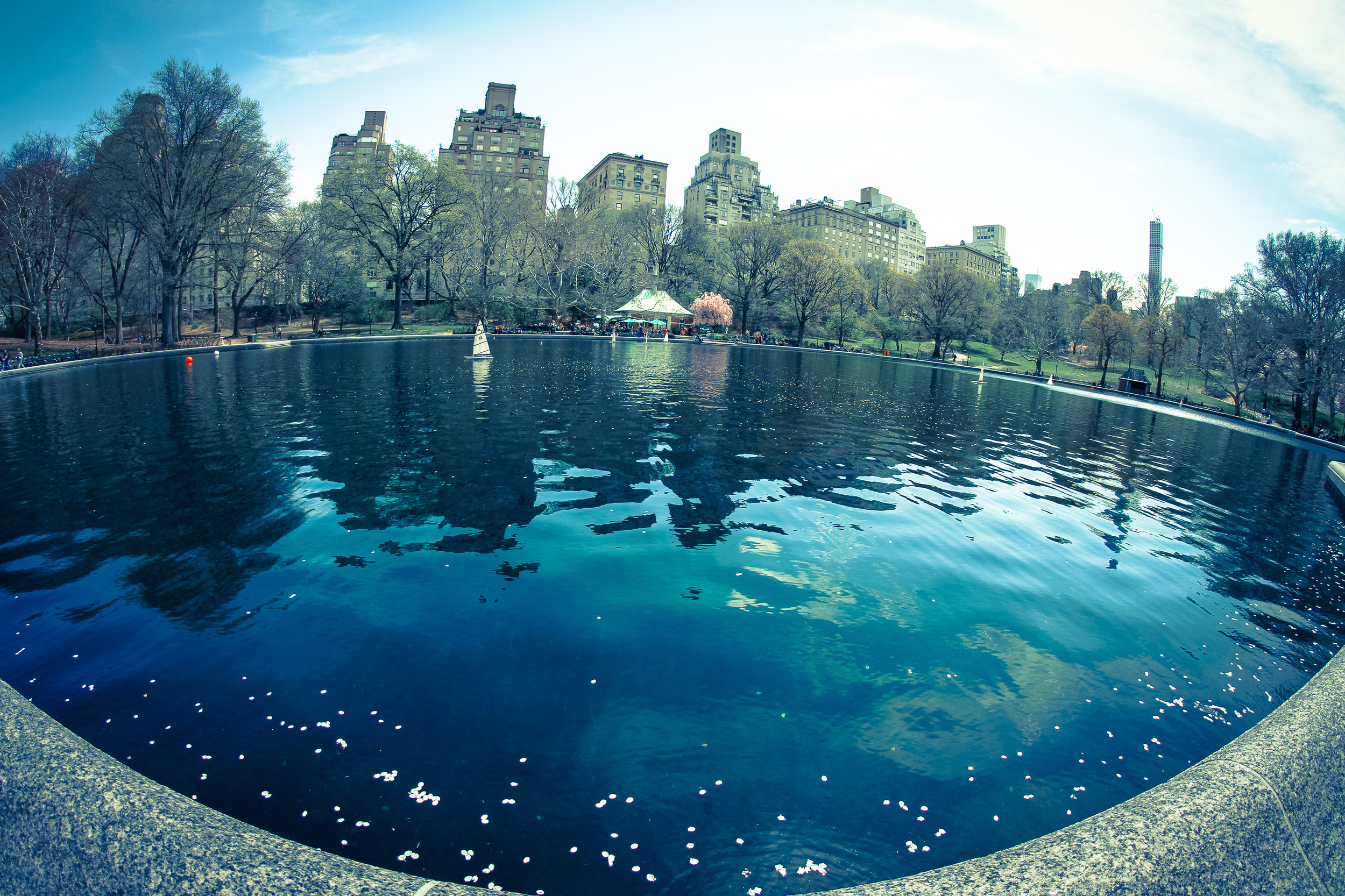 A remote controlled boat floats around in the distance. Petals from the nearby cherry blossoms lazily drift in the pond. See the full album here .