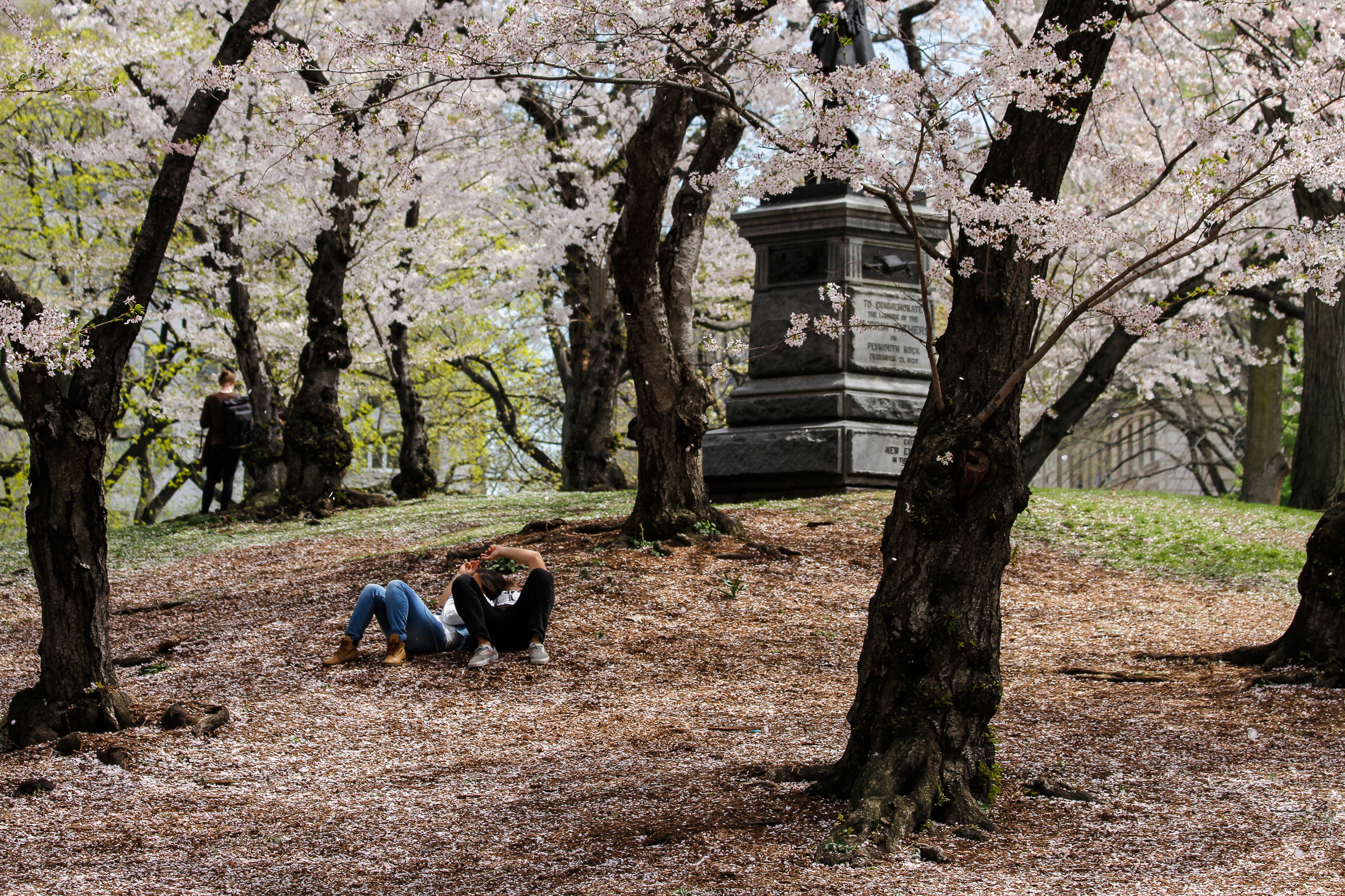 Young Love in the Old Park