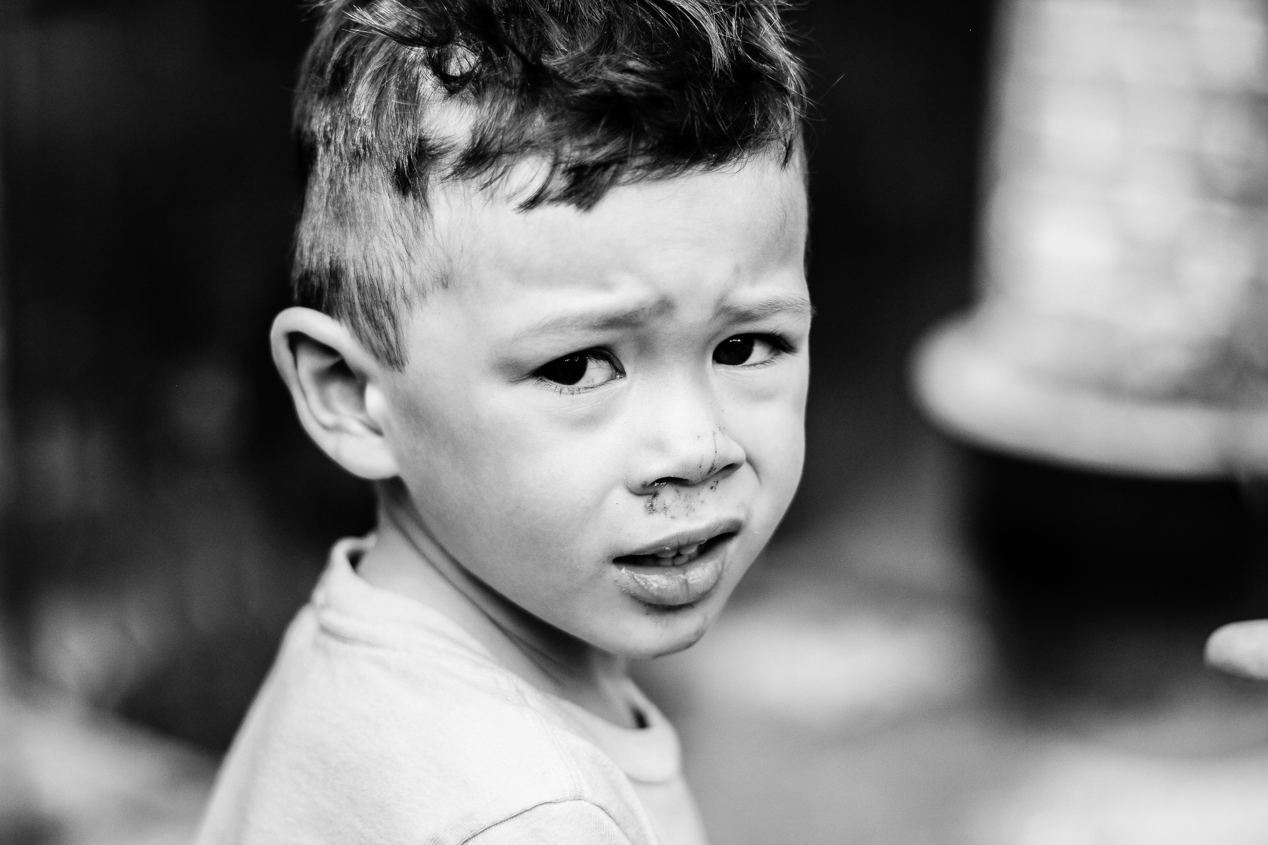 "Playing Rough", taken May 25, 2015.