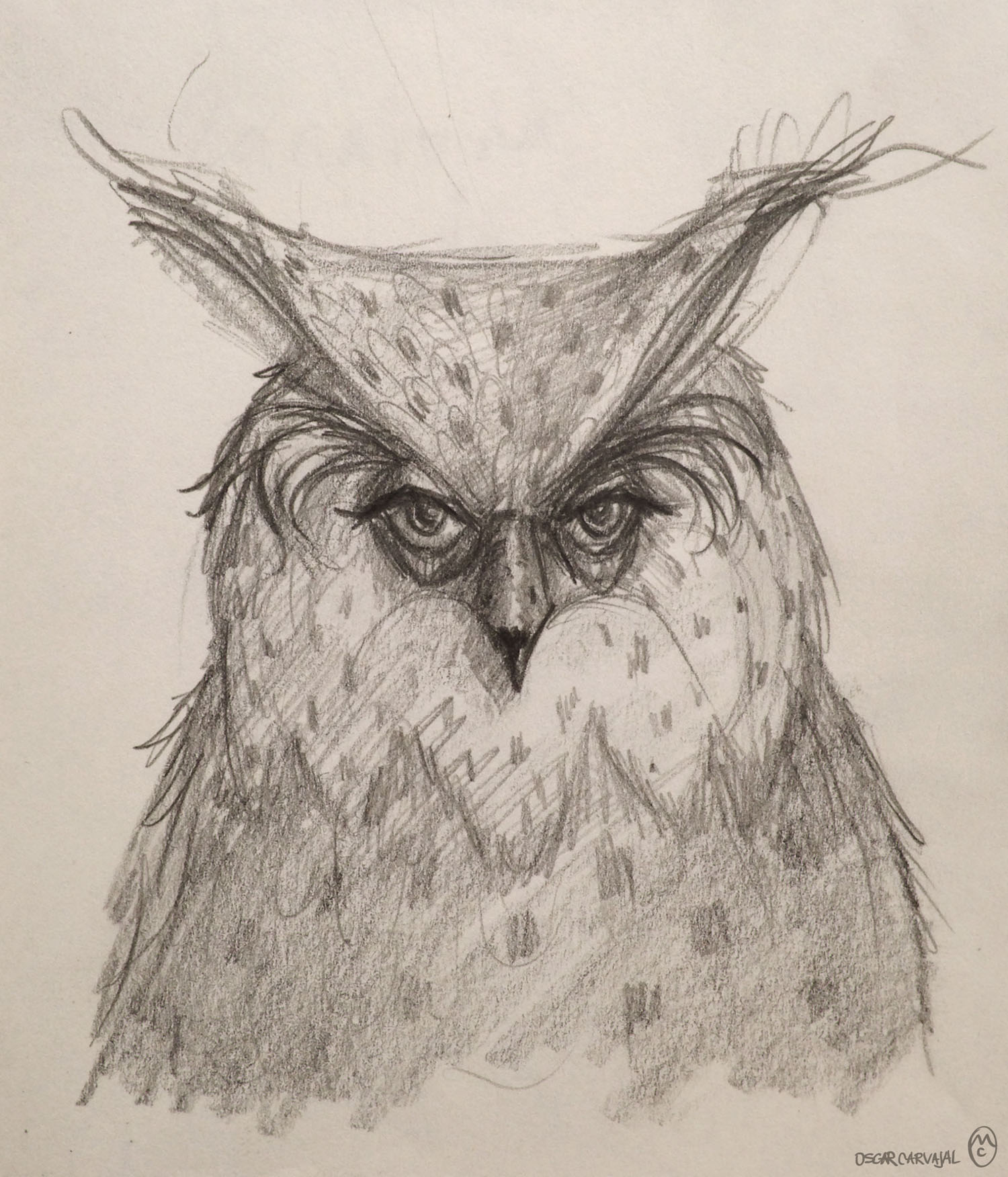 owl