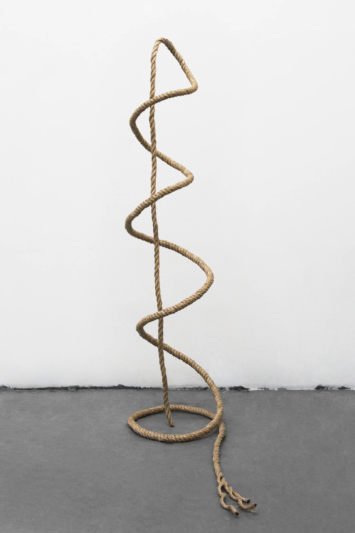 Untitled, 2016 Rope, Aluminum