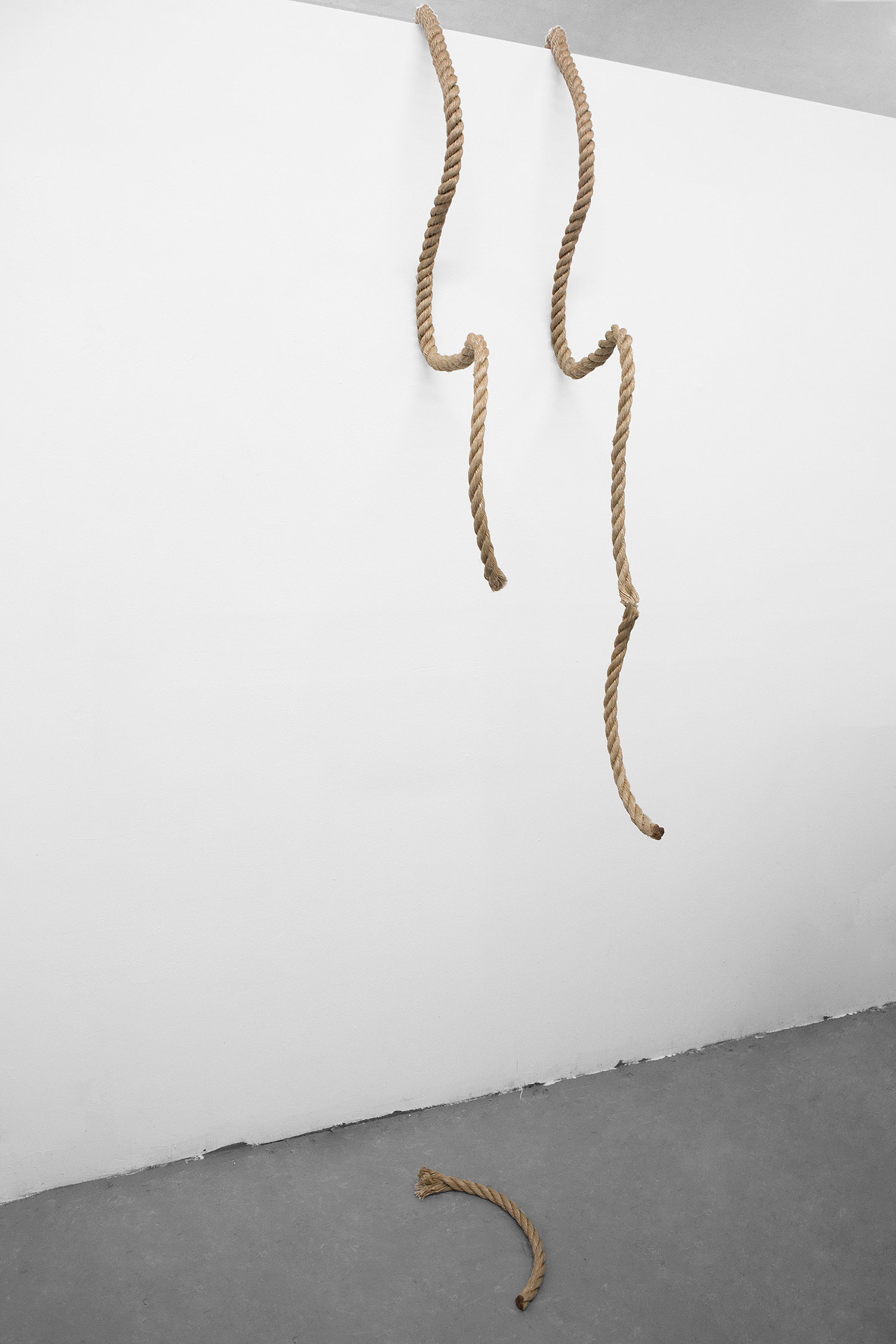 Untitled (4), 2016 Rope, Aluminum
