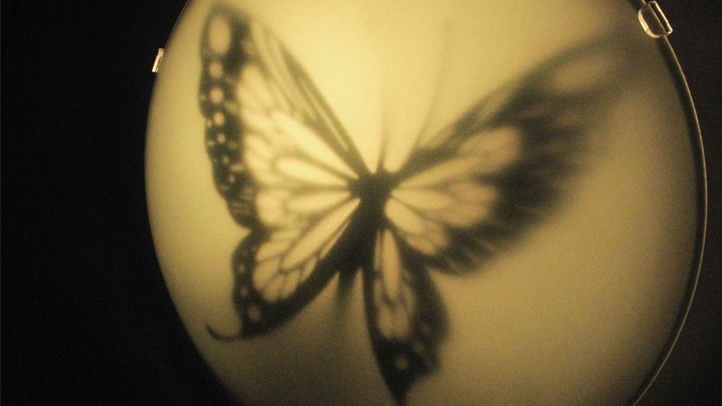 Transient