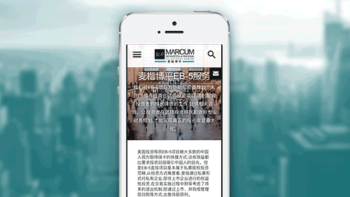 action_MBP_500px_5.gif