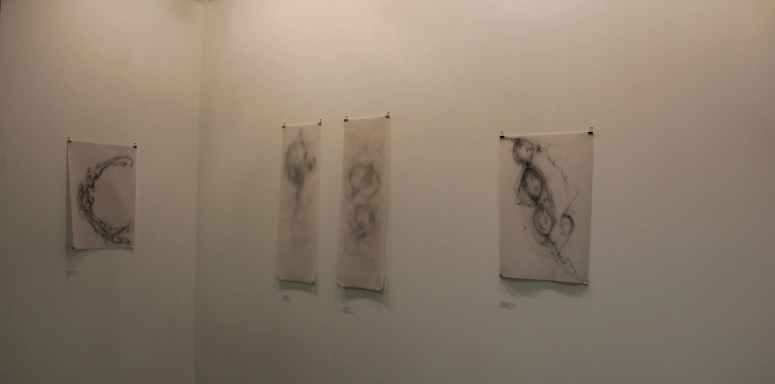 Situation Gallery Ephemeral Traces exhibition 2012 (2).JPG