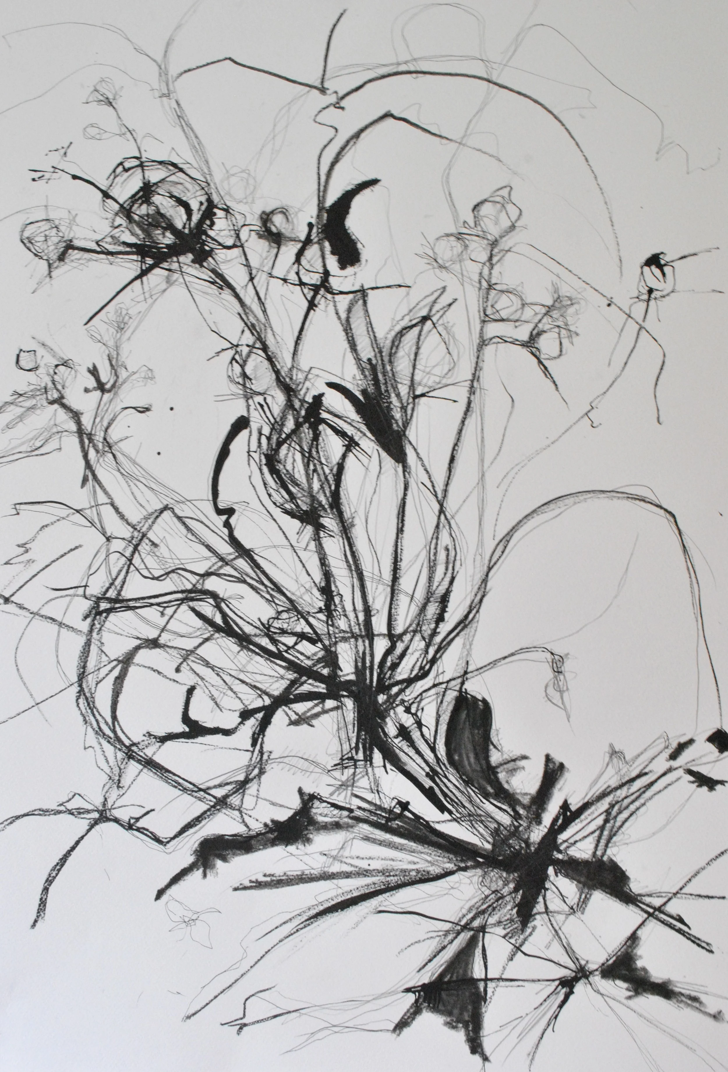 ink drawings June 13 001.JPG