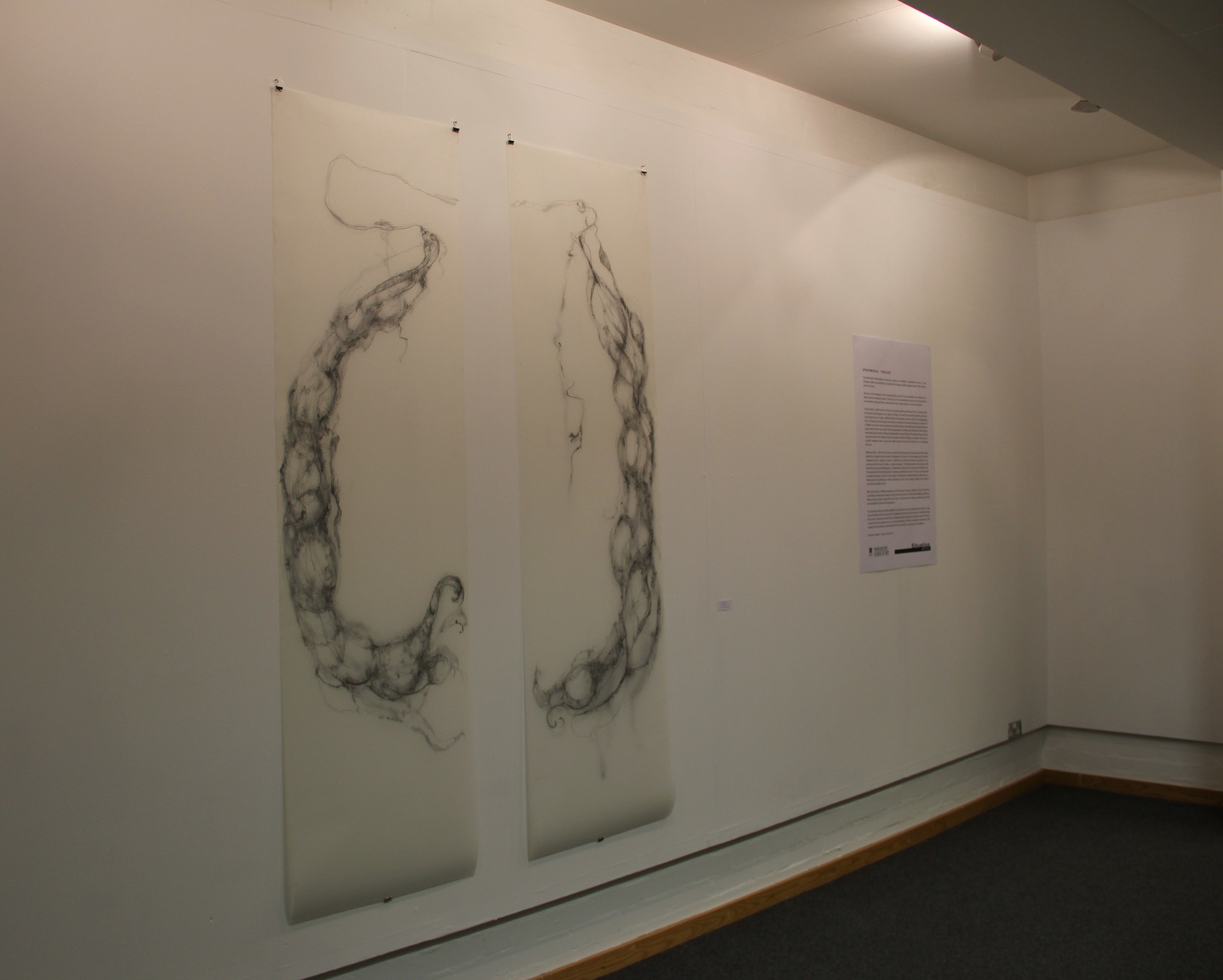 Situation Gallery Ephemeral Traces exhibition 2012.JPG