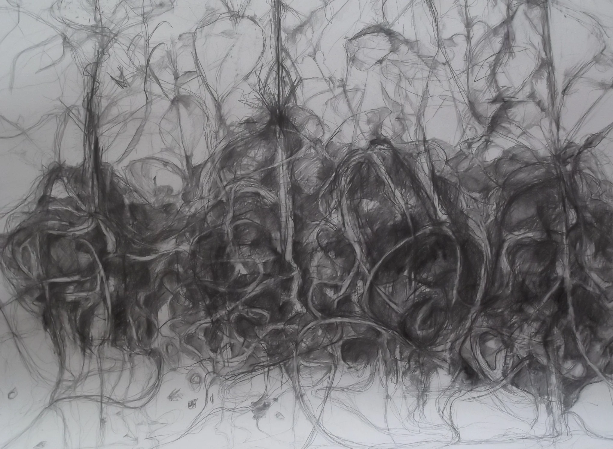 Summer Drawing  001.JPG