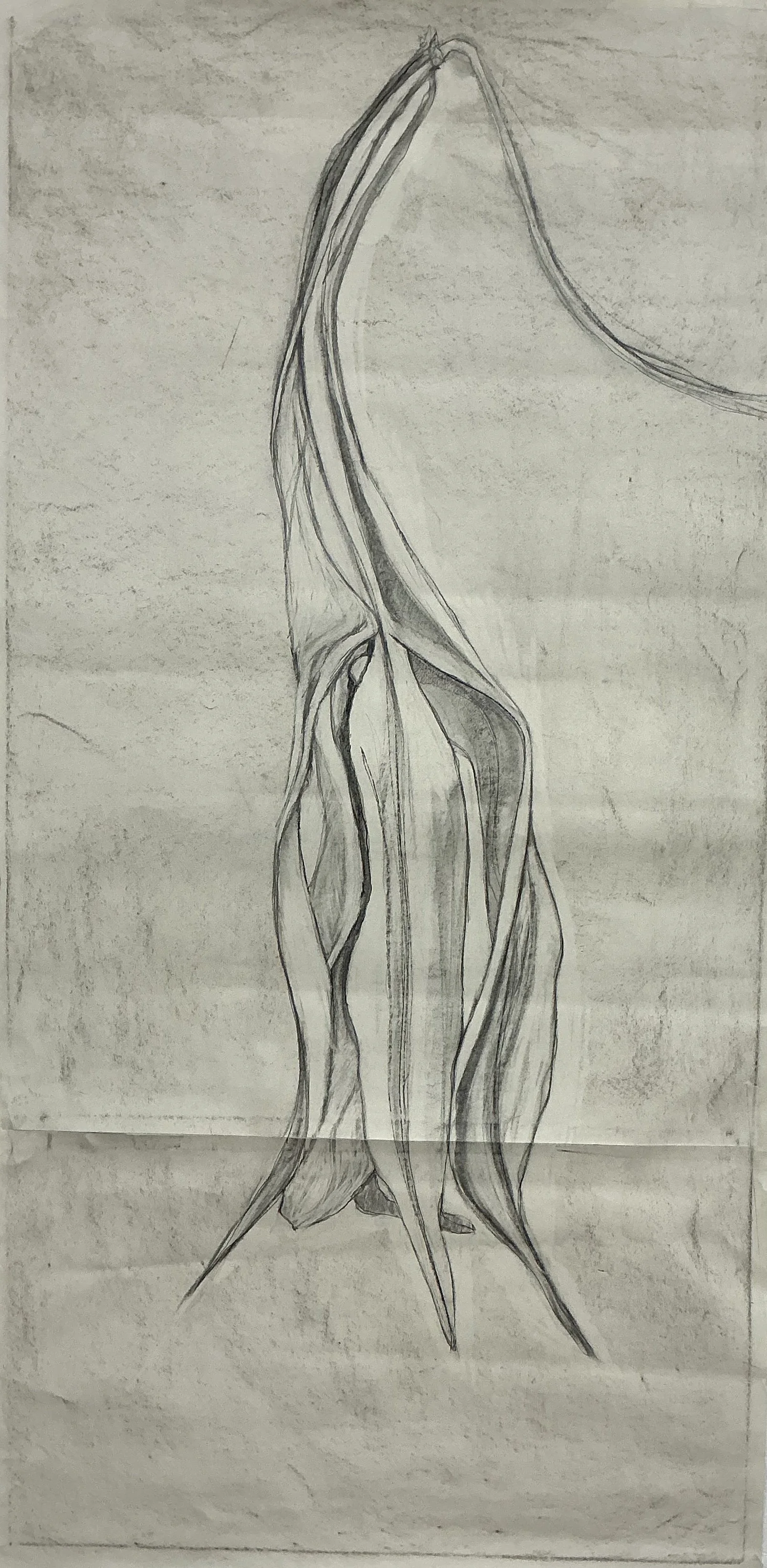 Drawing for Lili painting charcoal on paper