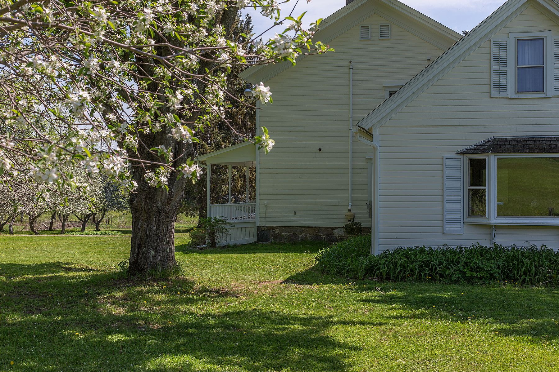 025 EAP Maria Barr 380 Raymond Fish Rd crest 38.jpg