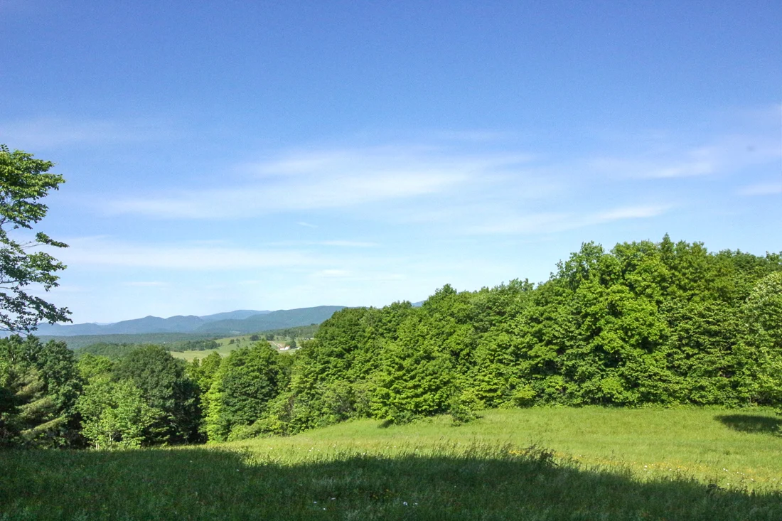 field 2.jpg