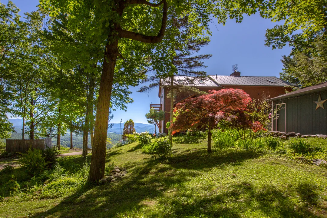 EAP Maria Barr Firetower Road 20190619-1.jpg