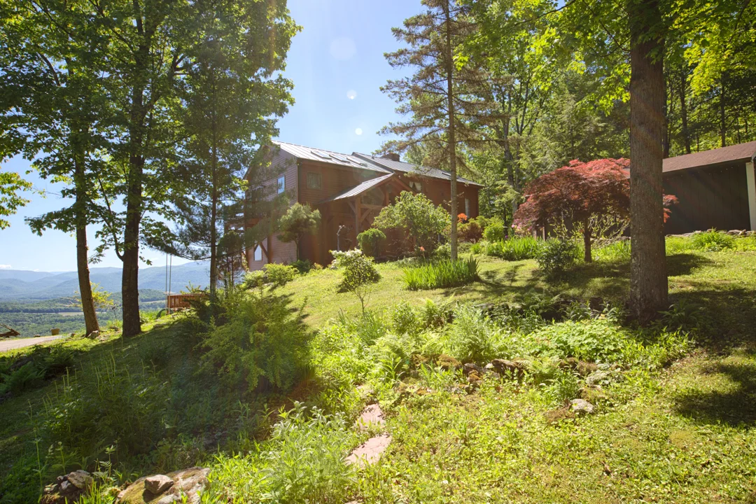 EAP Maria Barr Firetower Road 20190619-11.jpg