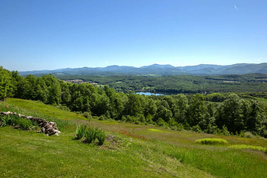 EAP Maria Barr Firetower Road 20190619-9.jpg