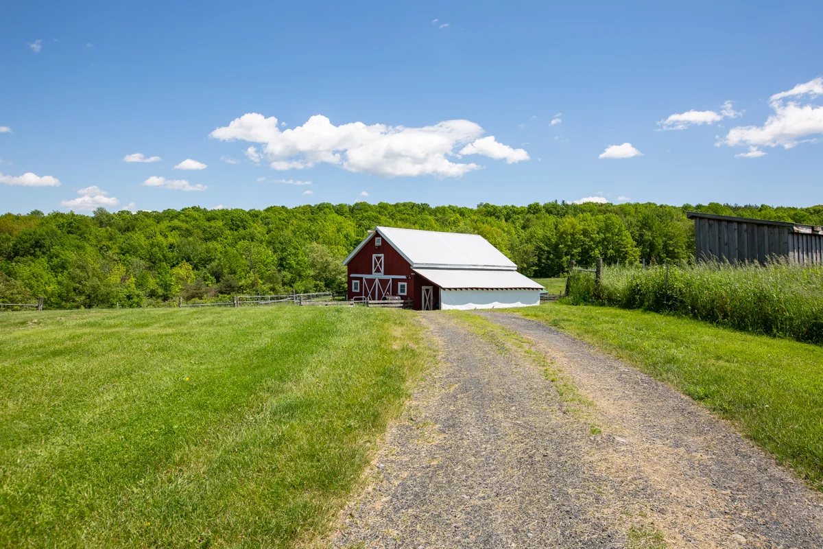 EAP Maria Barr Lang Hill Road 20190609-45.jpg