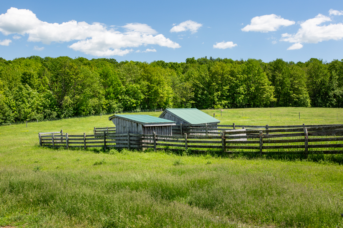 EAP Maria Barr Lang Hill Road 20190609-50.jpg
