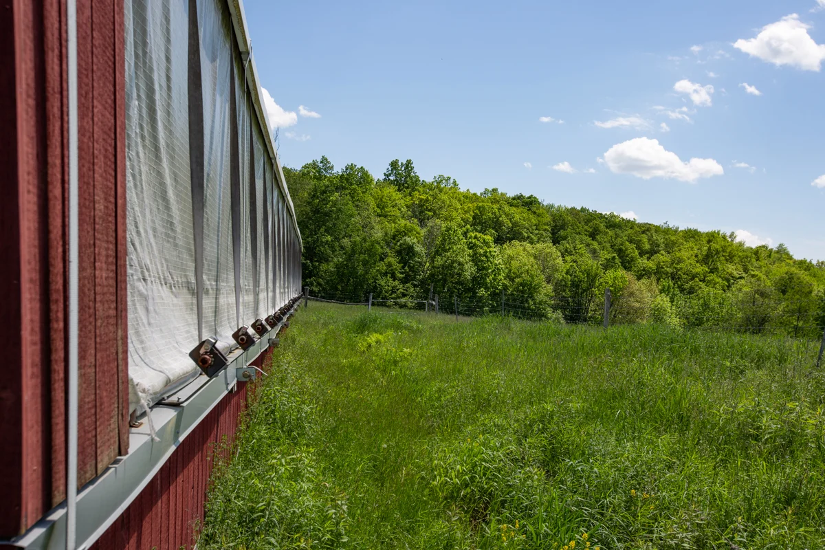 EAP Maria Barr Lang Hill Road 20190609-55.jpg