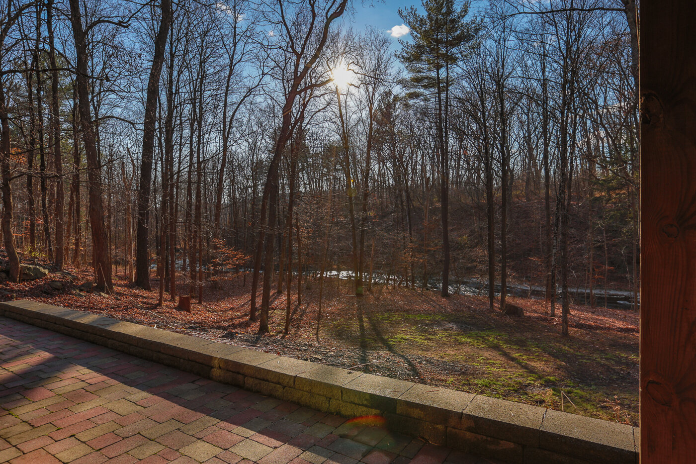  Outside on the patio looking to the sunset through the trees that outline the property. 