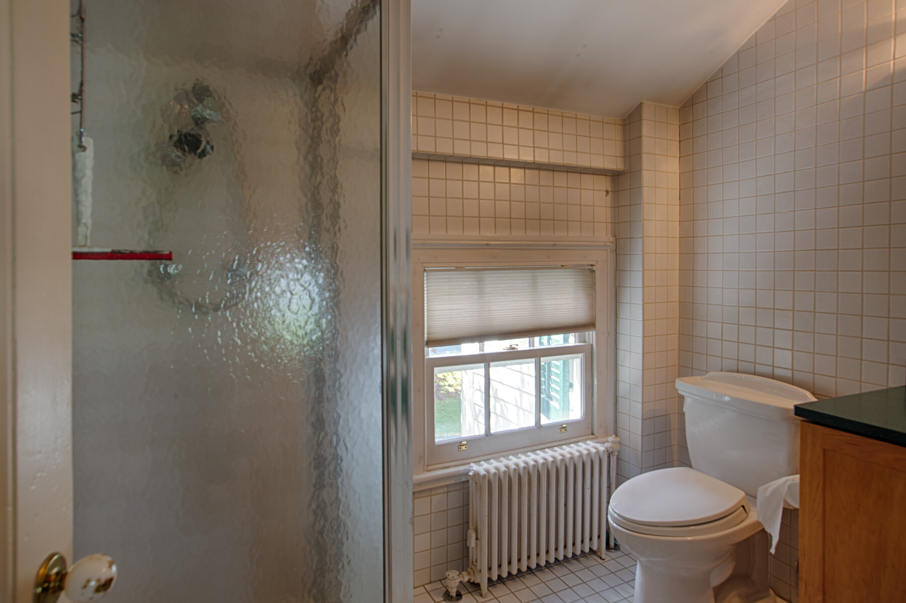  Bathroom with stand up shower, toilet and vanity. Small white tiles are not he floor and wall. 