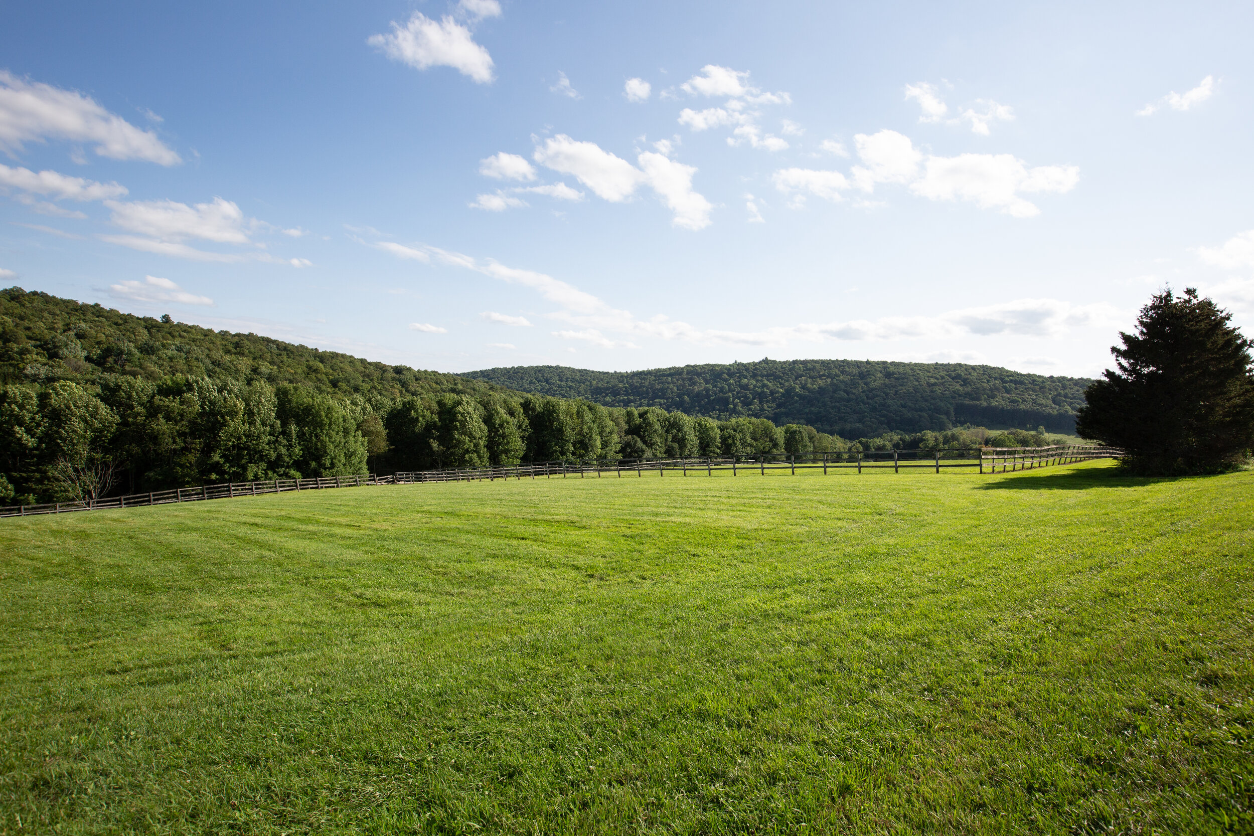 EAP Maria Barr 1625 Carey Rd Franklin-50.jpg