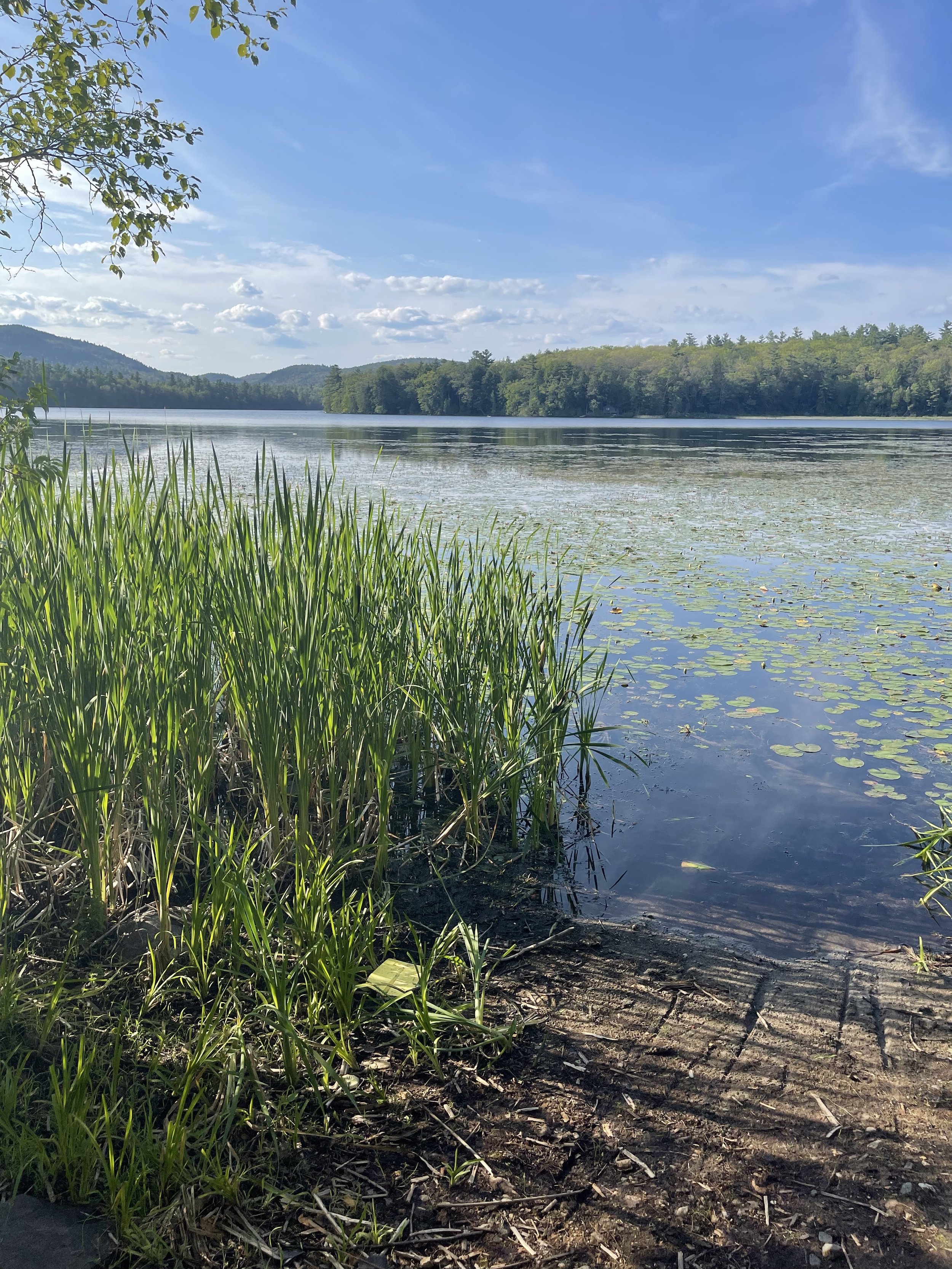 Reber Road - Lake access across road II.jpg