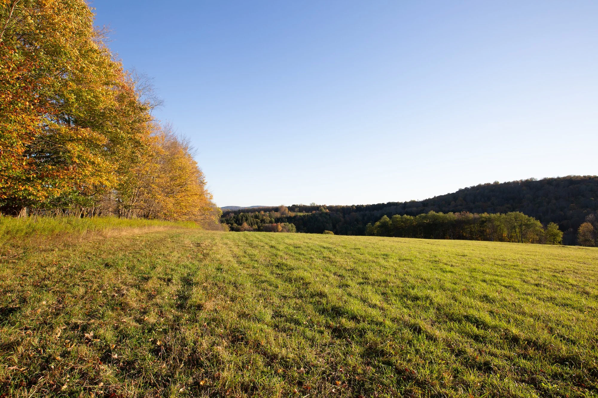 ESI TMBT 242 Bert White Rd Edmeston 2025100133.jpeg