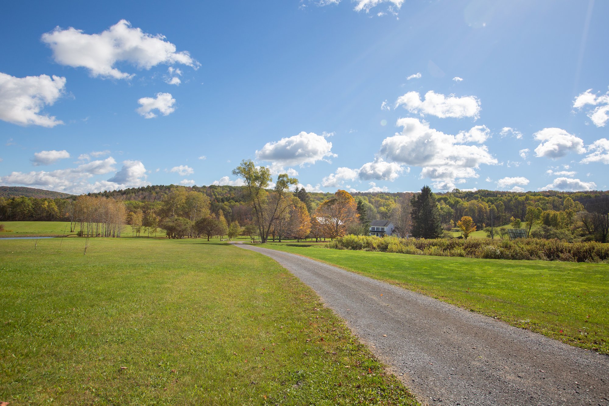 ESI TMBT 380 Raymond Fish Rd 202510082.jpeg