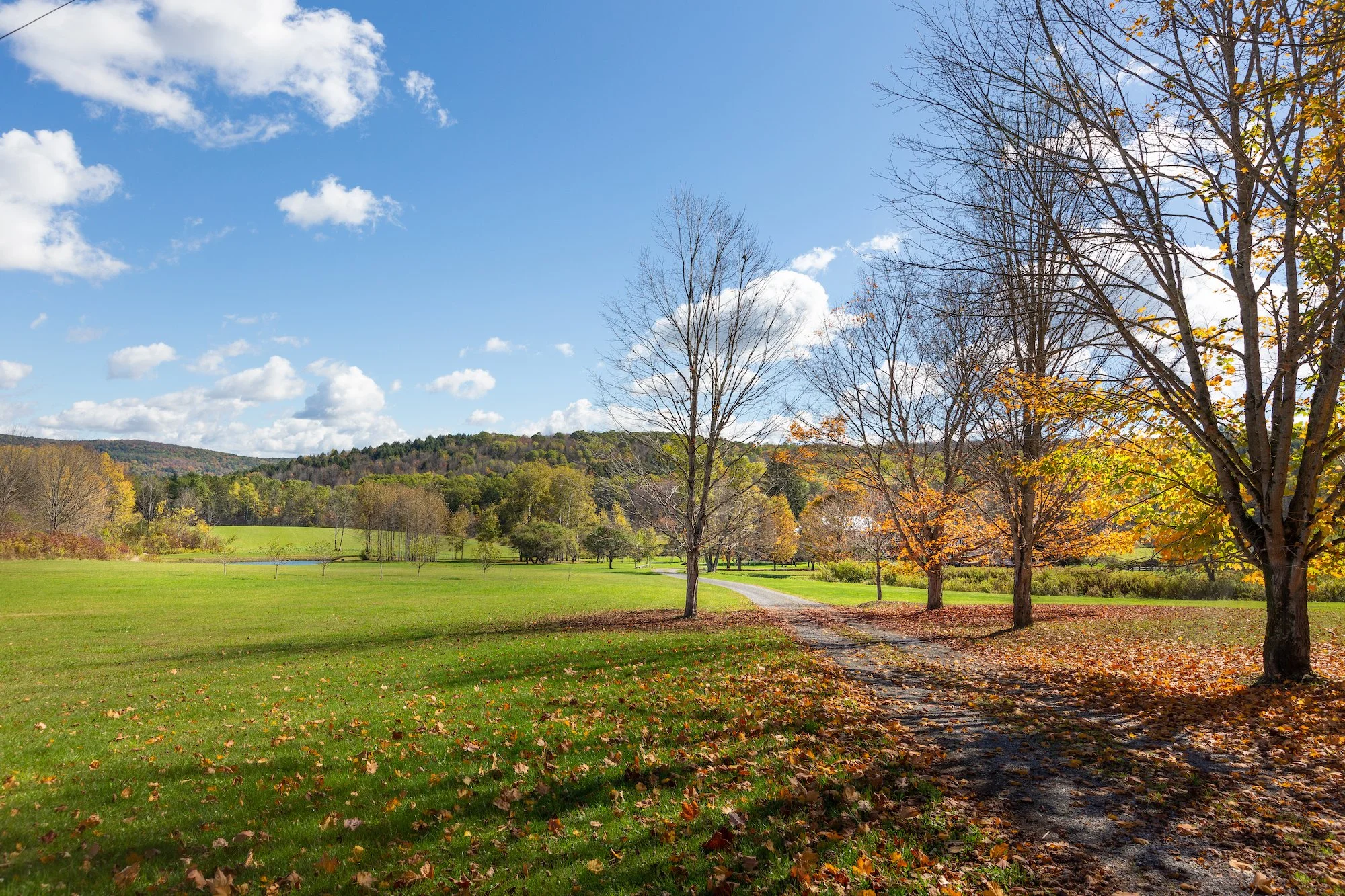 ESI TMBT 380 Raymond Fish Rd 202510081.jpeg