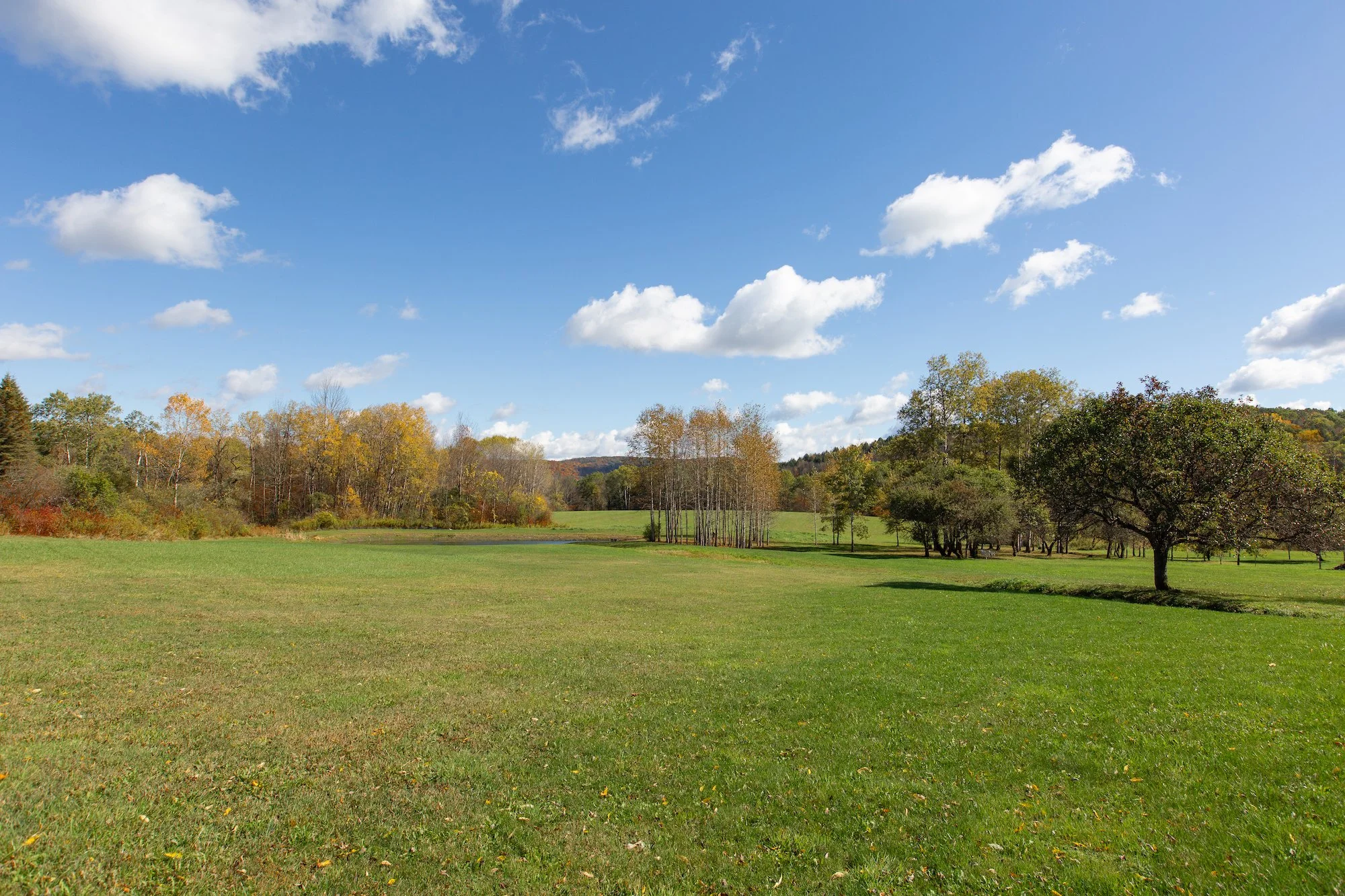 ESI TMBT 380 Raymond Fish Rd 202510085.jpeg