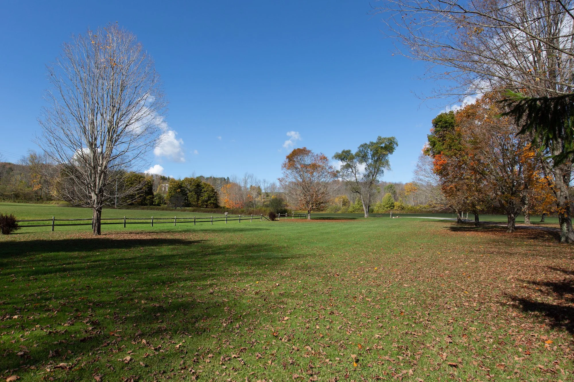 ESI TMBT 380 Raymond Fish Rd 2025100811.jpeg