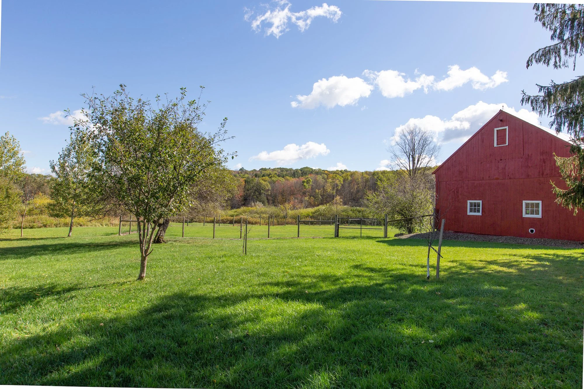 ESI TMBT 380 Raymond Fish Rd 2025100814.jpeg