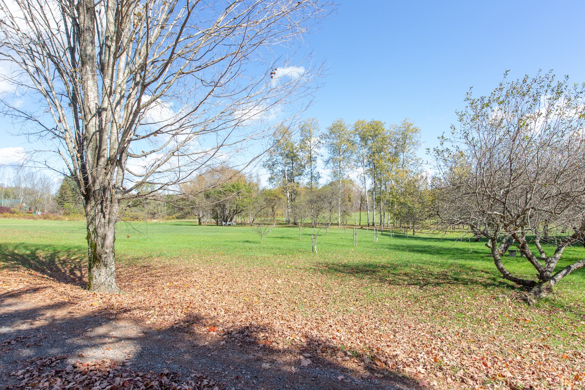 ESI TMBT 380 Raymond Fish Rd 2025100813.jpeg