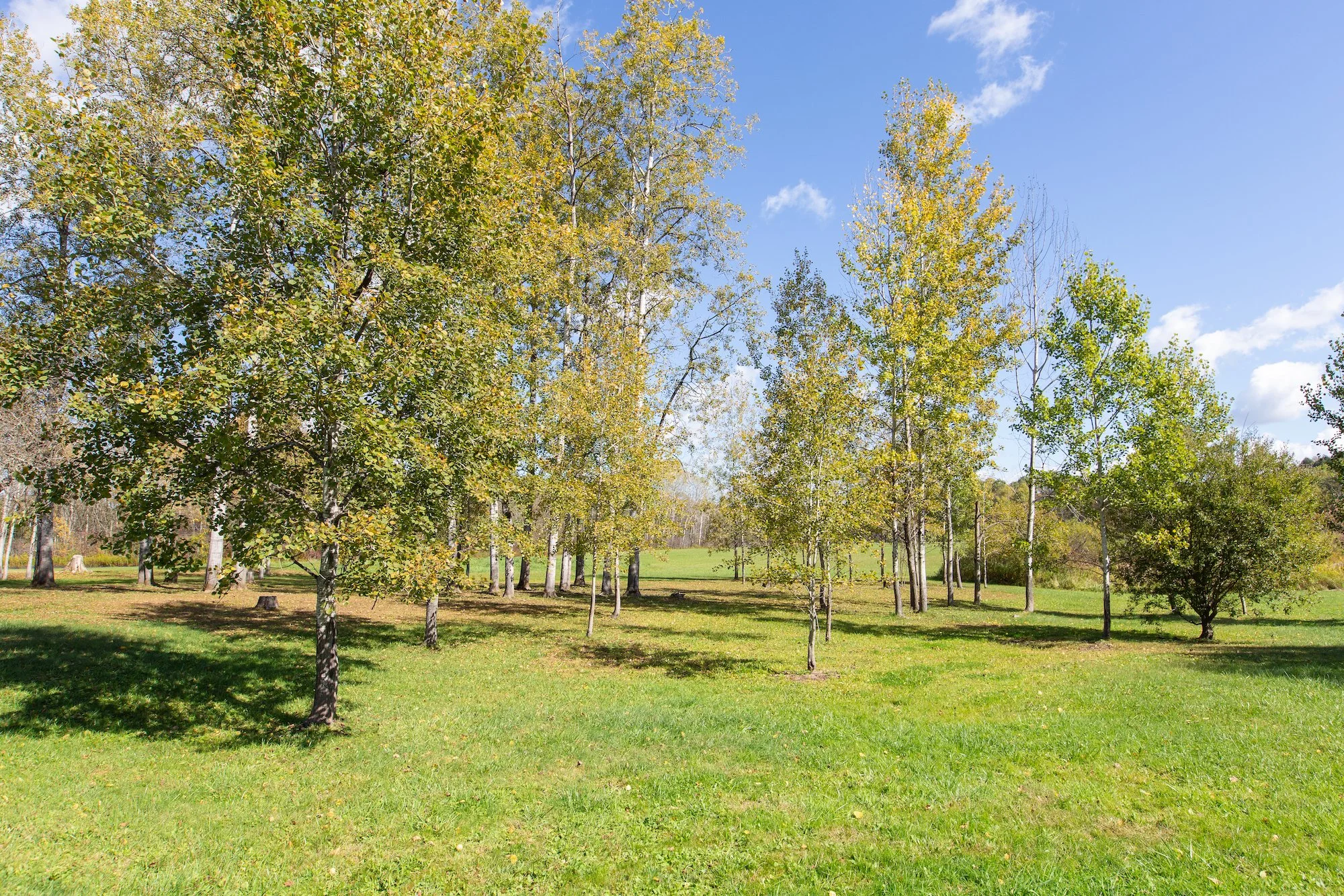 ESI TMBT 380 Raymond Fish Rd 2025100815.jpeg