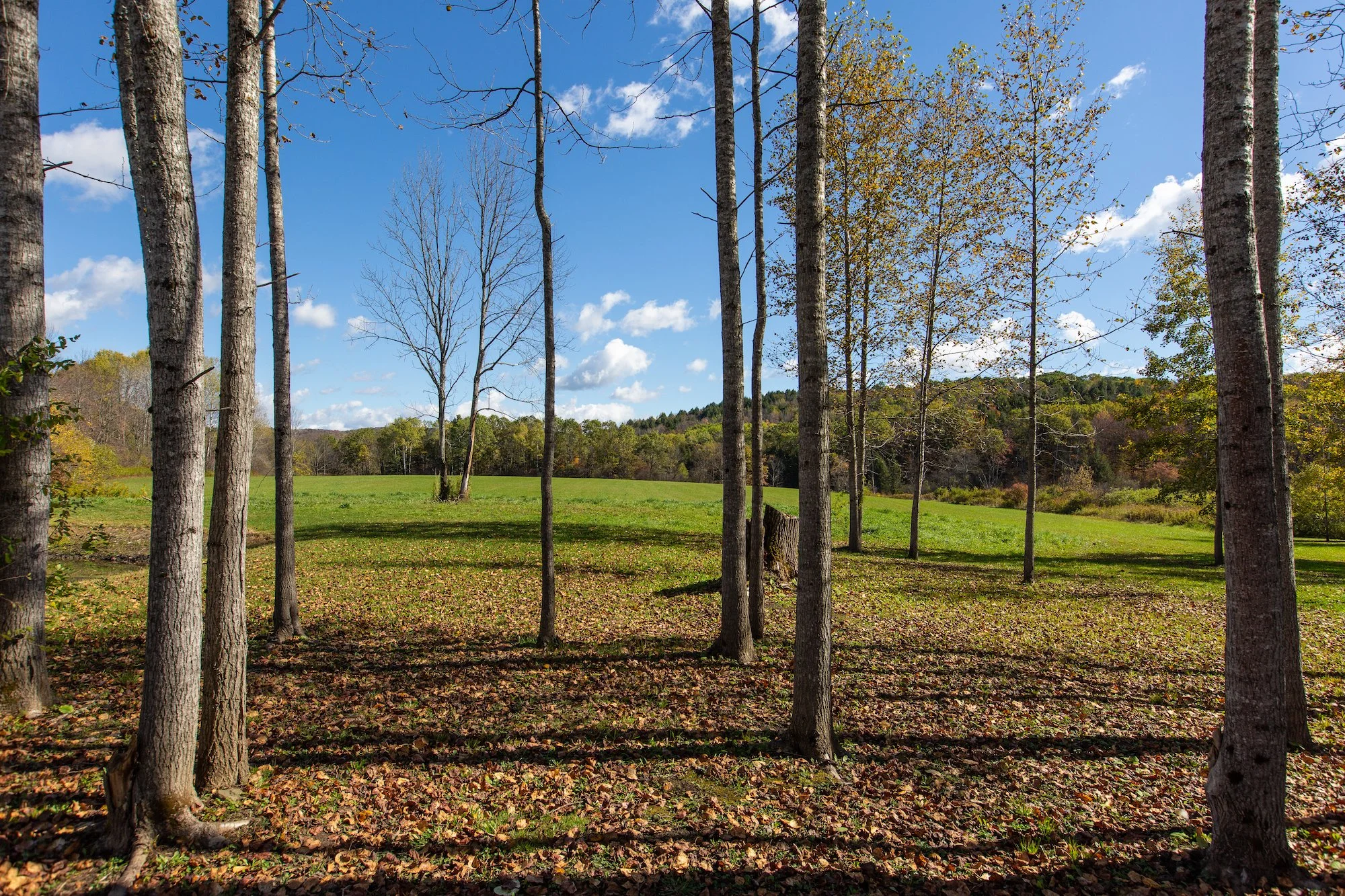 ESI TMBT 380 Raymond Fish Rd 2025100818.jpeg