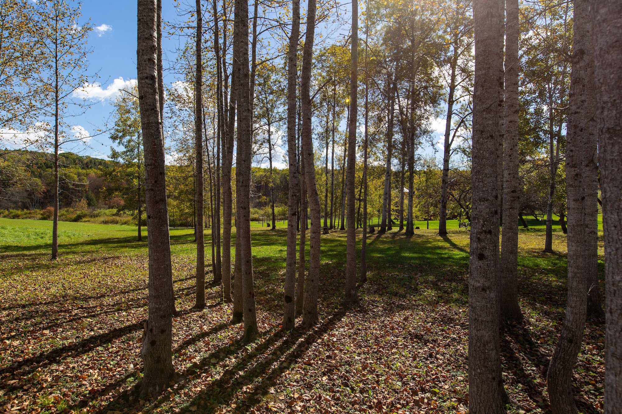 ESI TMBT 380 Raymond Fish Rd 2025100819.jpeg