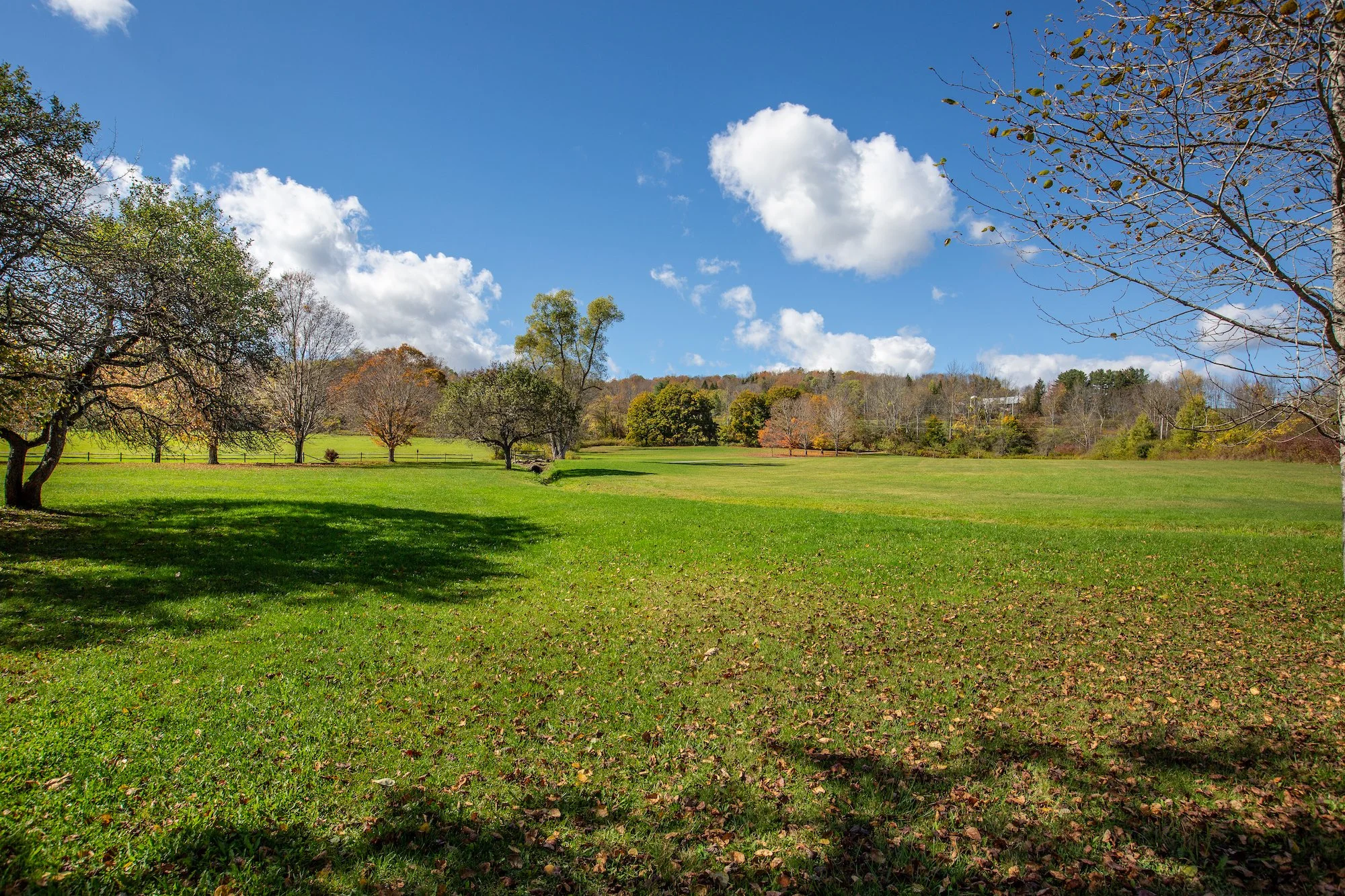 ESI TMBT 380 Raymond Fish Rd 2025100820.jpeg