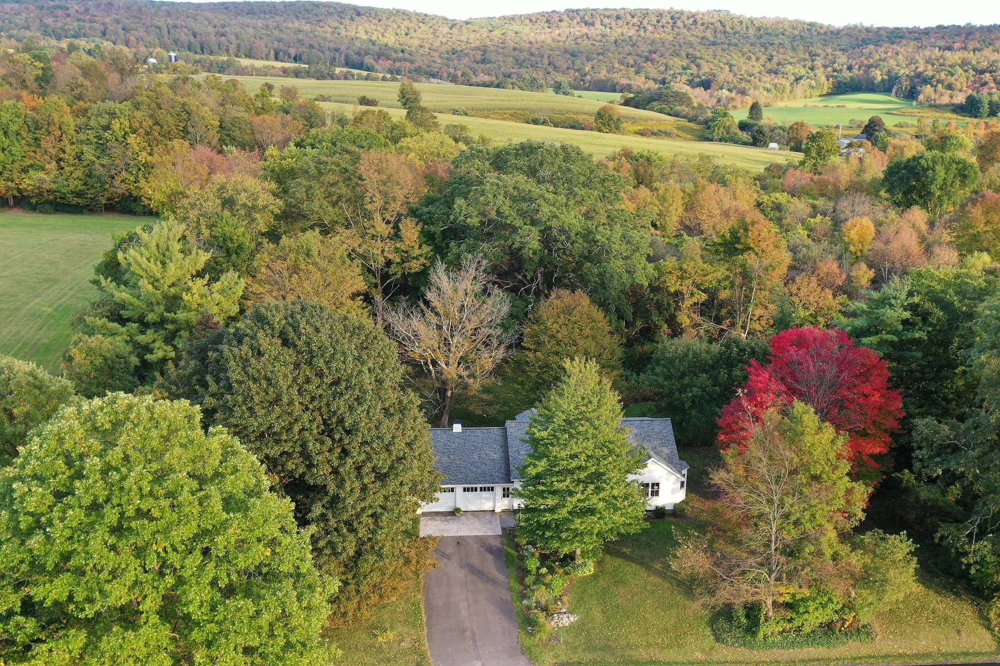 ESI TMBT 2054CR31 Cooperstown 2025092124.jpeg