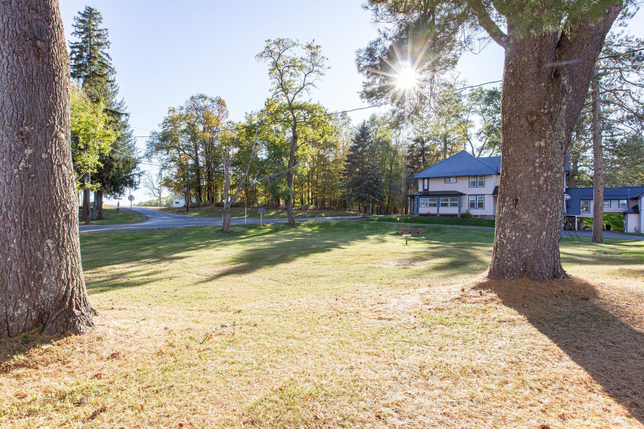 EAP TMBT Line of Pines - apt 4-27.jpg