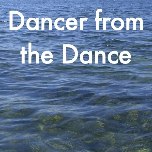 Dancert from the Dance.jpeg