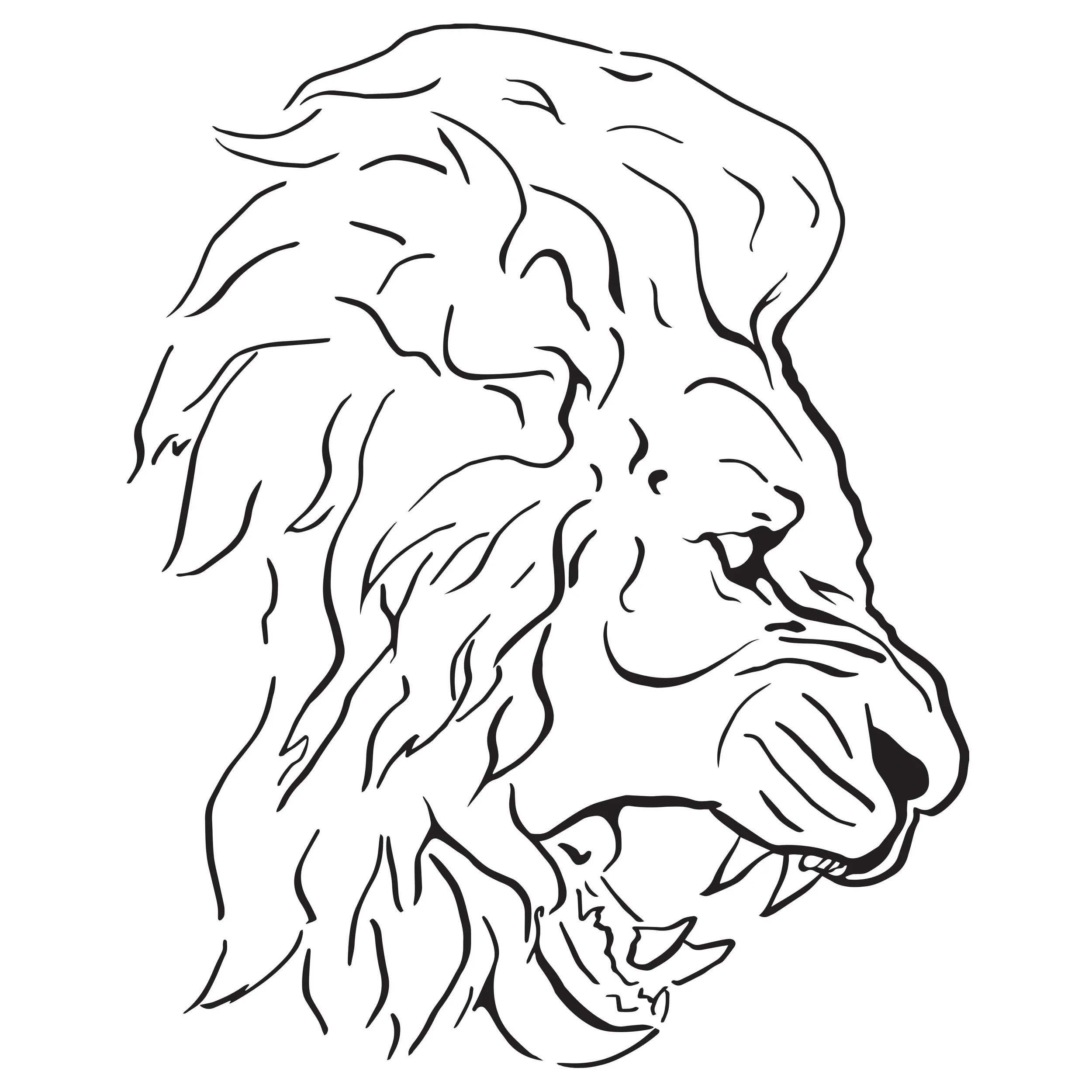 LionProfile.jpg