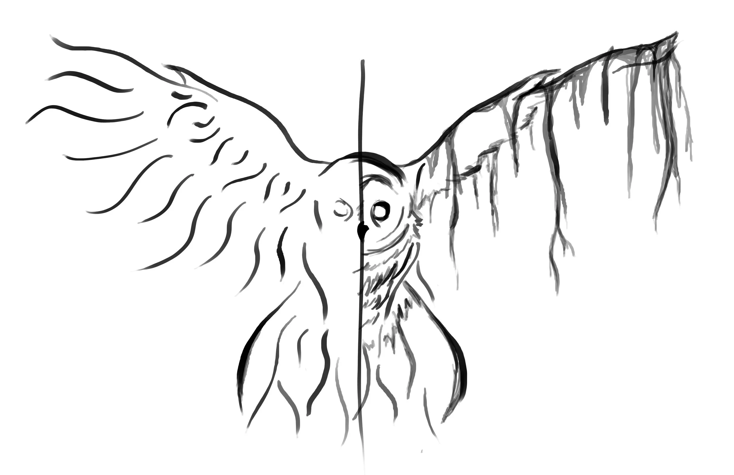 owl.jpg