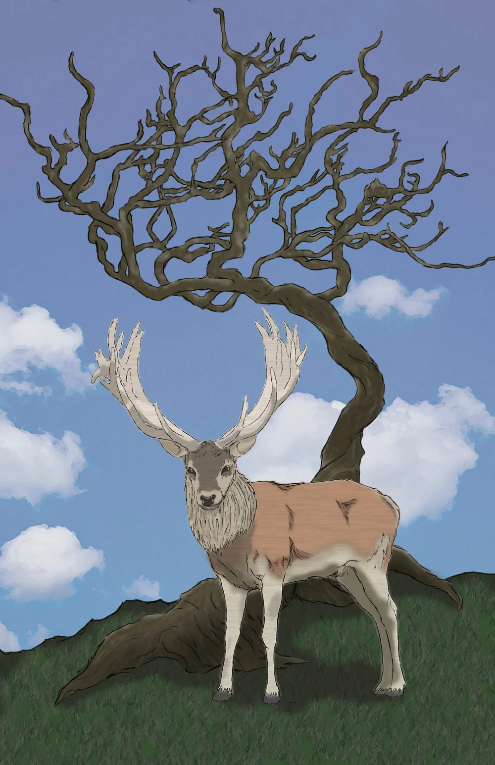 Deer.jpg