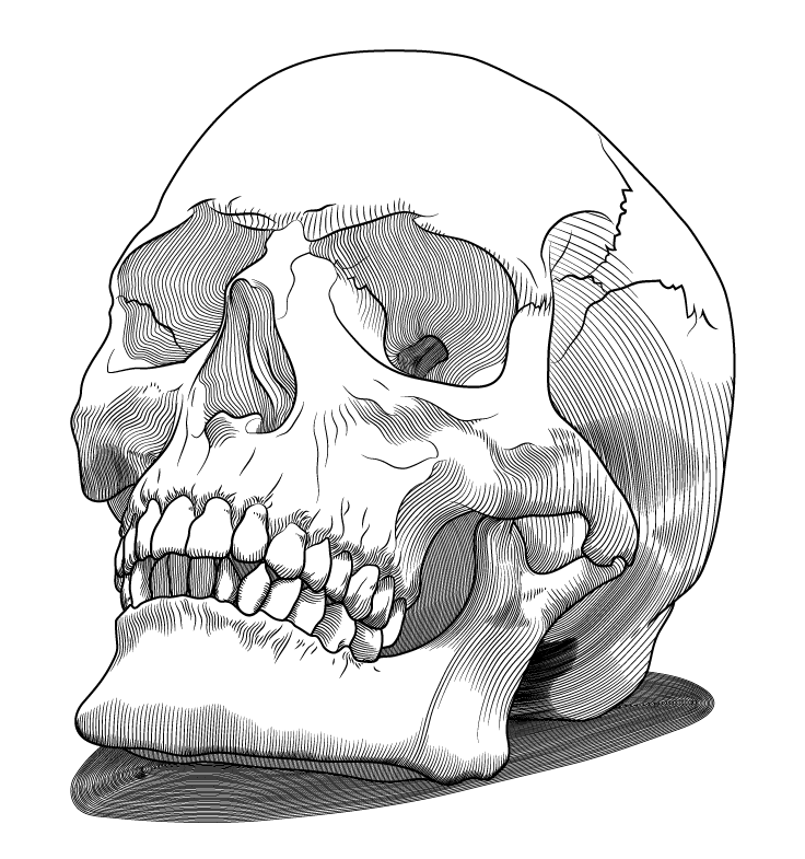 skull.png