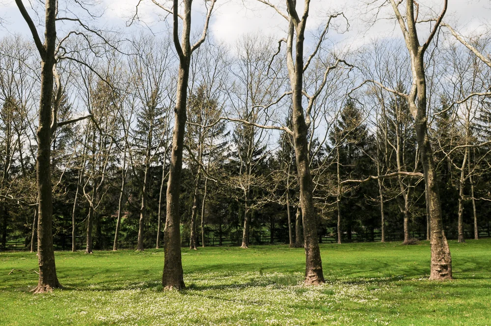 26April2011-1745.jpg