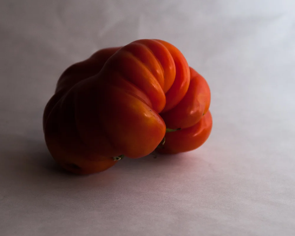 tomatoes-0014.jpg