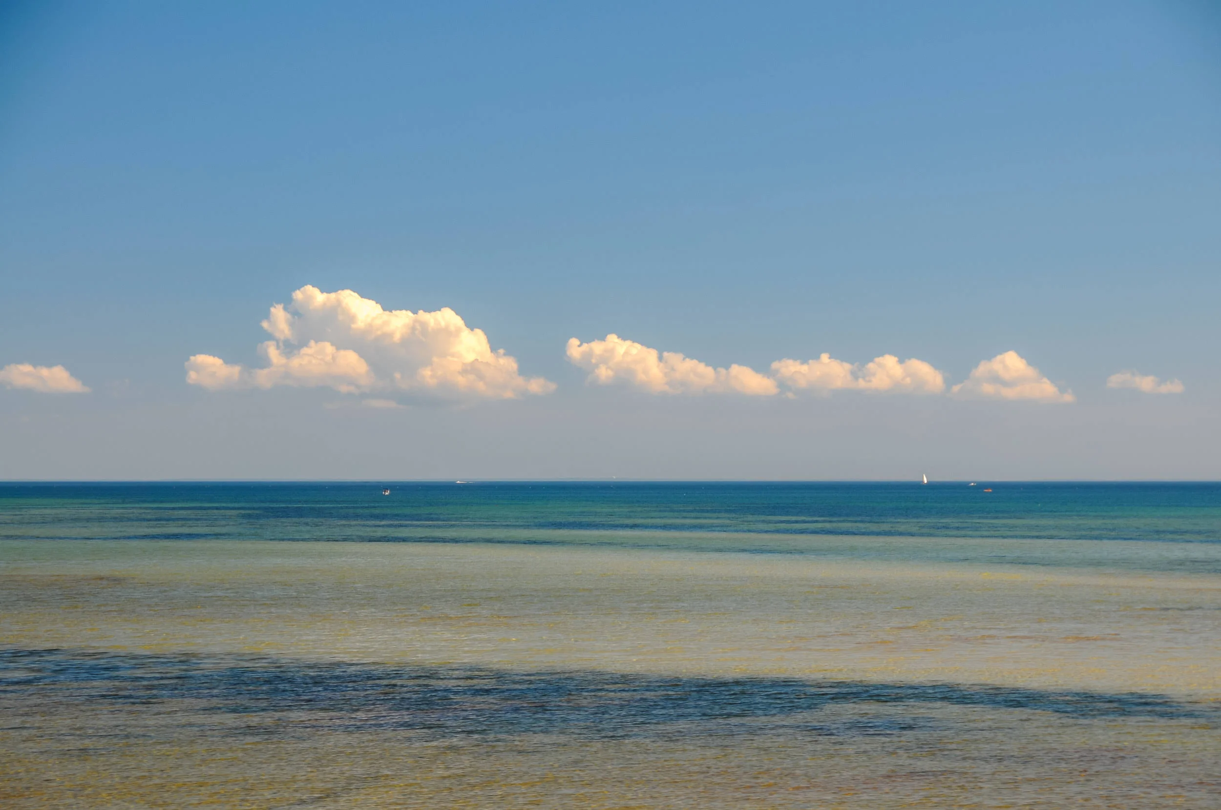 CapeCod2011-9157.jpg