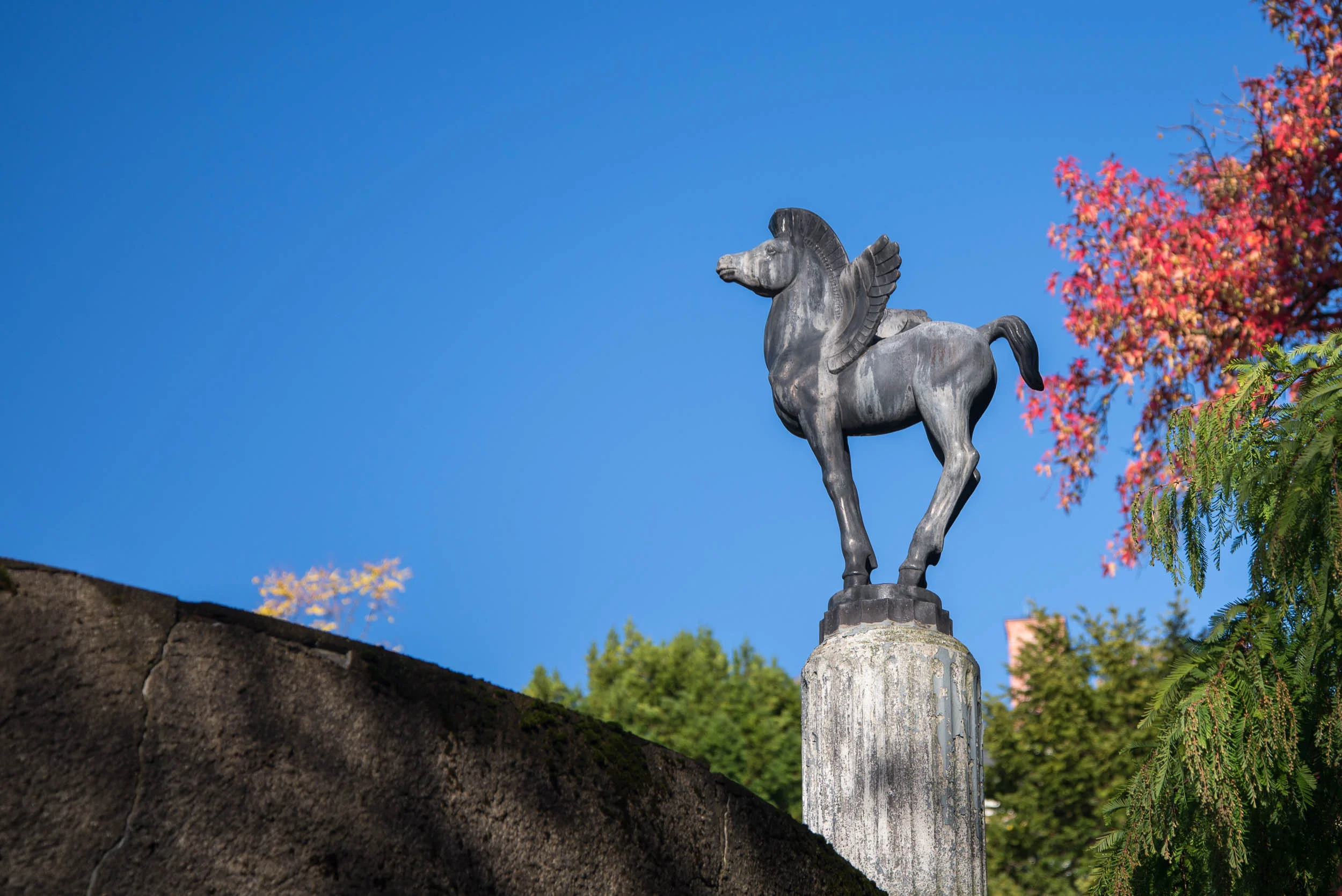 GreenwoodGardensFall-1734.jpg