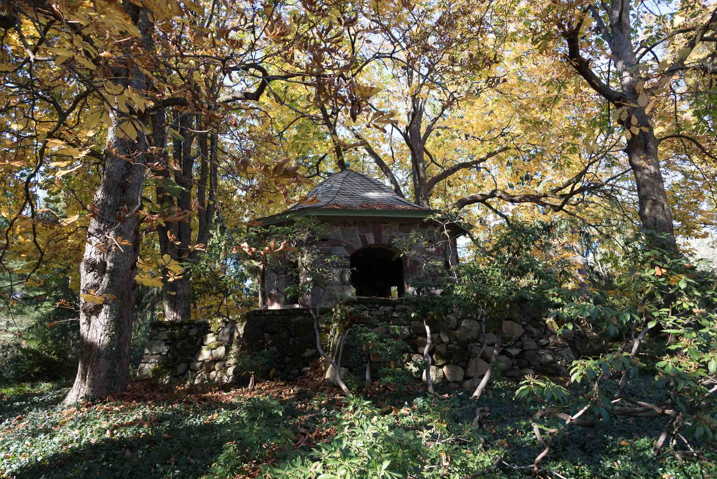 LAVFamily2015-5376.jpg