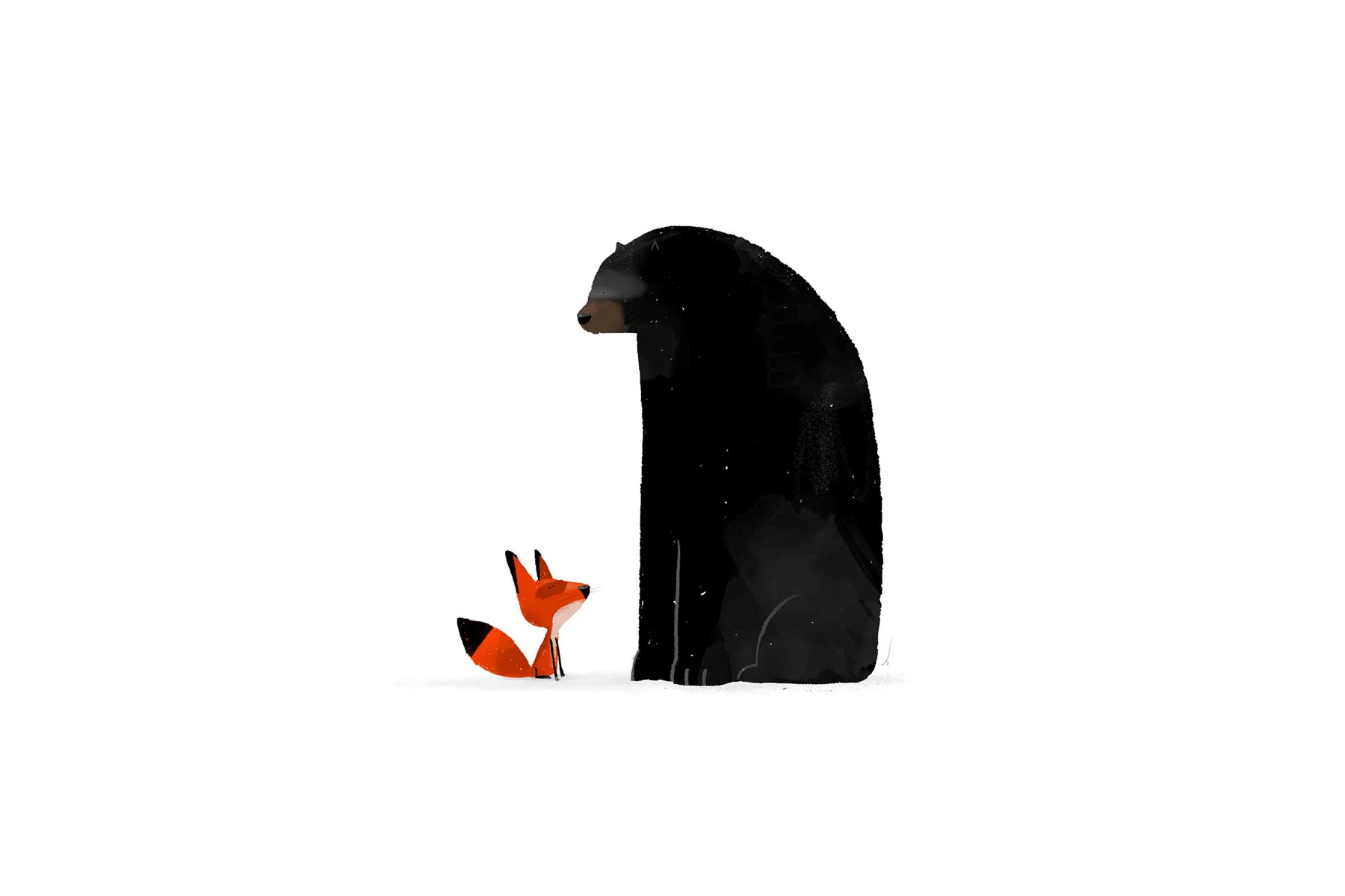  Fox &amp; Bear 